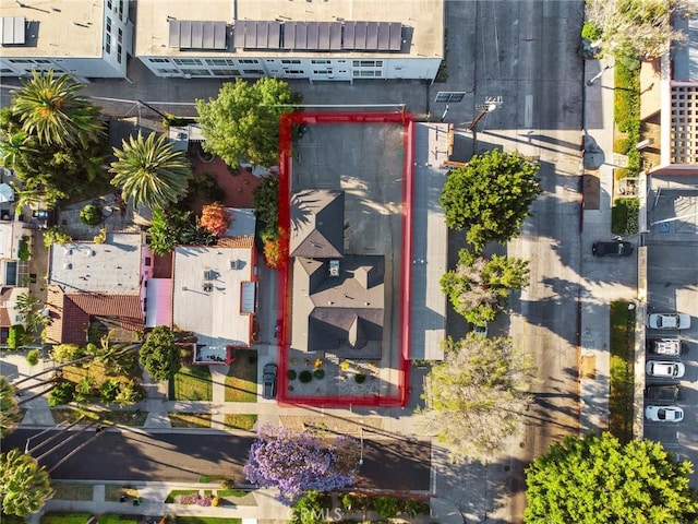 6521 Homewood Ave, Los Angeles, CA 90028 - photo 65