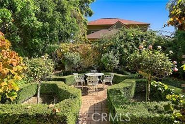 225 N Lima St, Sierra Madre, CA 91024 - view of yard featuring a patio