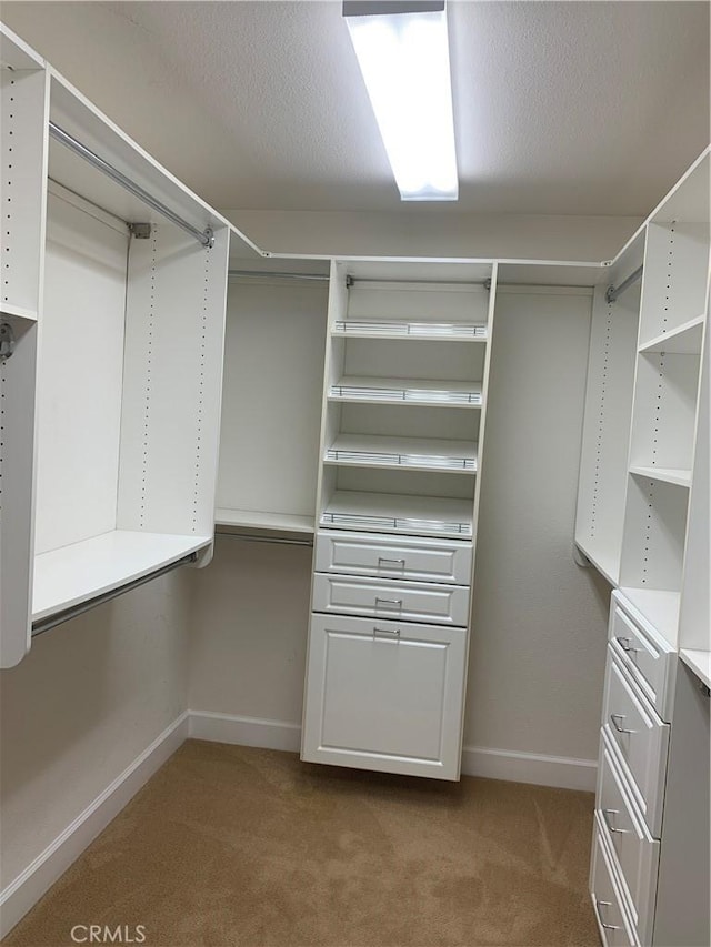 538 Burnt Ranch Way, Chico, CA 95973 - walk in closet featuring carpet