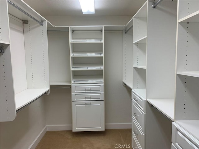 538 Burnt Ranch Way, Chico, CA 95973 - walk in closet featuring light colored carpet