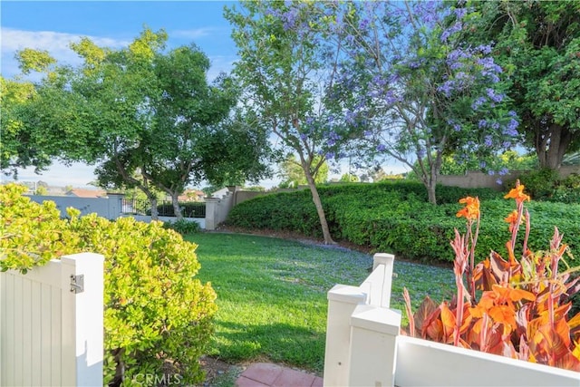 28215 Paseo El Siena Unit 46, Laguna Niguel, CA 92677 - view of fenced front yard