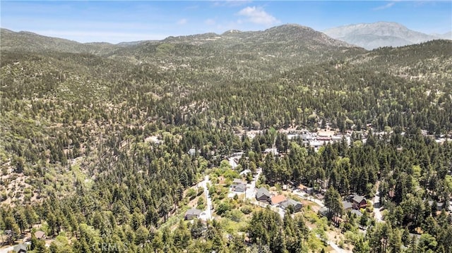 2340 Deep Creek Dr, Running Springs, CA 92382 - view of mountain backdrop with a forest