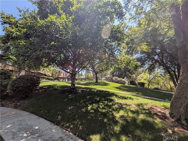 1266 Tarryglen Ln, San Dimas, CA 91773 - view of grassy yard