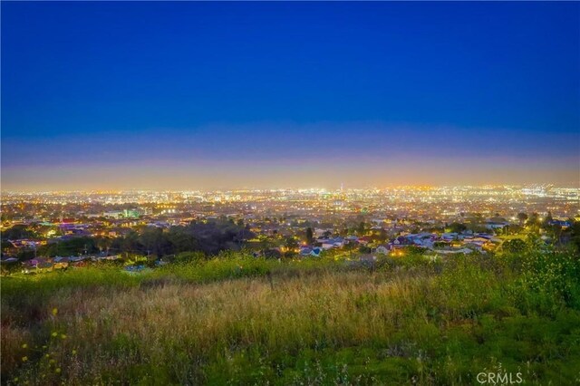 1717 Cumbre Dr, San Pedro, CA 90732 - view of city