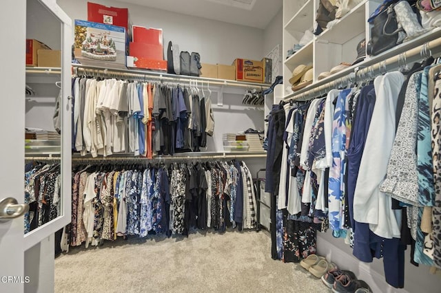 508 Autumn Path Ln, Santa Paula, CA 93060 - walk in closet with carpet floors