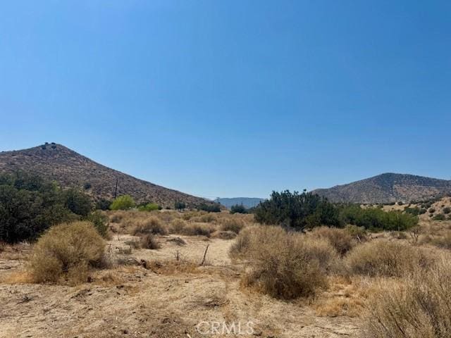 0 Angeles Forest Highway, Palmdale, CA 93550 - photo 12