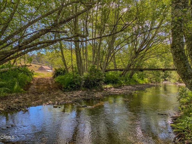 42000 Mountain View Rd, Manchester, CA 95459 - photo 45