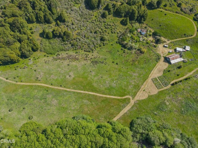 42000 Mountain View Rd, Manchester, CA 95459 - photo 10