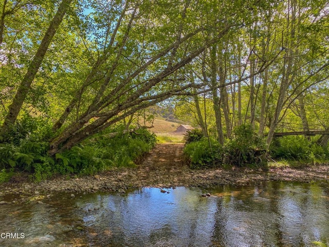 42000 Mountain View Rd, Manchester, CA 95459 - photo 2