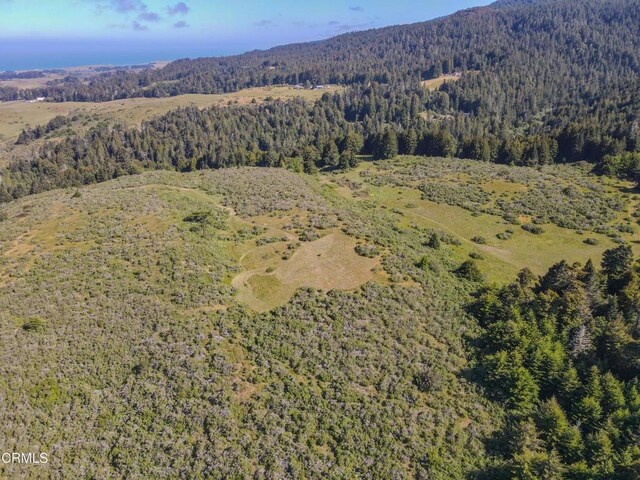 42000 Mountain View Rd, Manchester, CA 95459 - photo 19