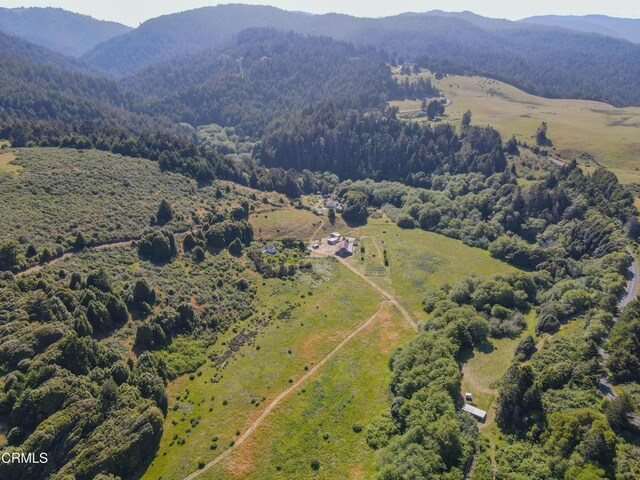 42000 Mountain View Rd, Manchester, CA 95459 - photo 20
