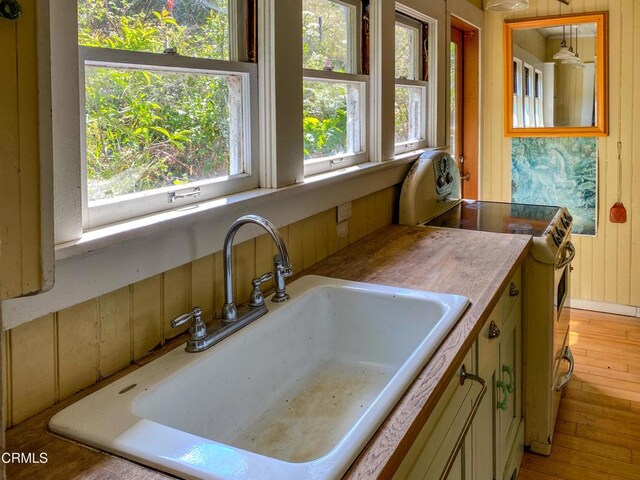42000 Mountain View Rd, Manchester, CA 95459 - photo 29