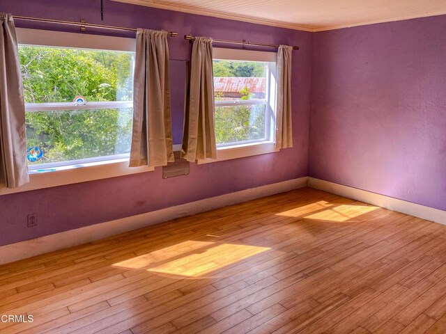 42000 Mountain View Rd, Manchester, CA 95459 - photo 33
