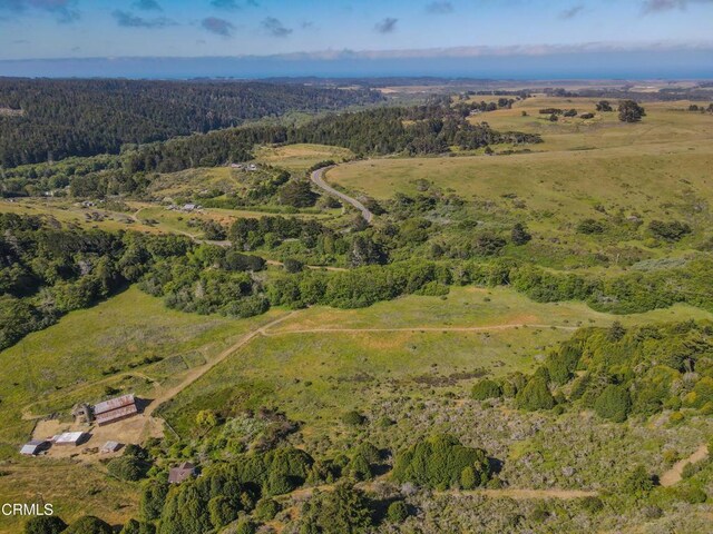 42000 Mountain View Rd, Manchester, CA 95459 - photo 11