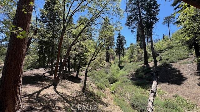 33796 Cedar Pines Ln, Green Valley Lake, CA 92341 - view of local wilderness