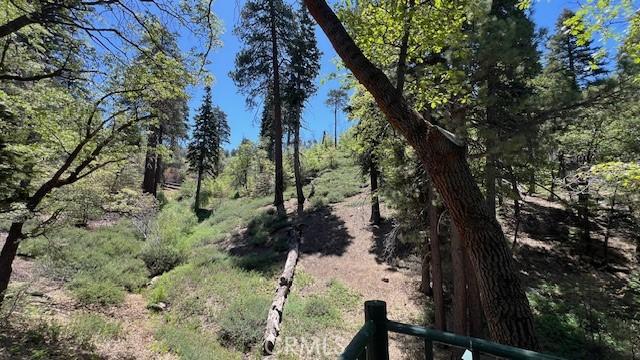 33796 Cedar Pines Ln, Green Valley Lake, CA 92341 - view of nature