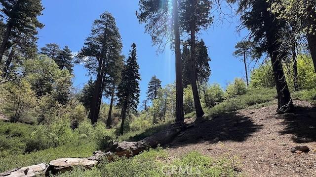 33796 Cedar Pines Ln, Green Valley Lake, CA 92341 - view of nature