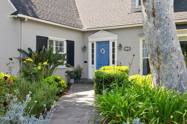 2156 Las Lunas St, Pasadena, CA 91107 - property entrance featuring stucco siding and a shingled roof