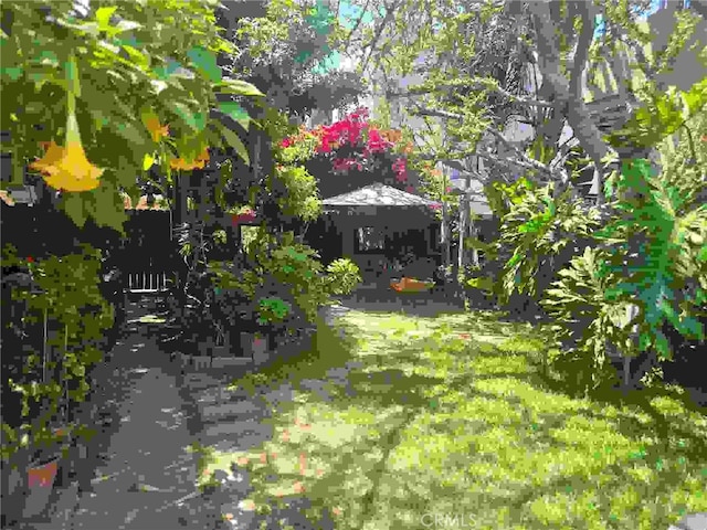 1121 Gladys Ave, Long Beach, CA 90804 - view of yard