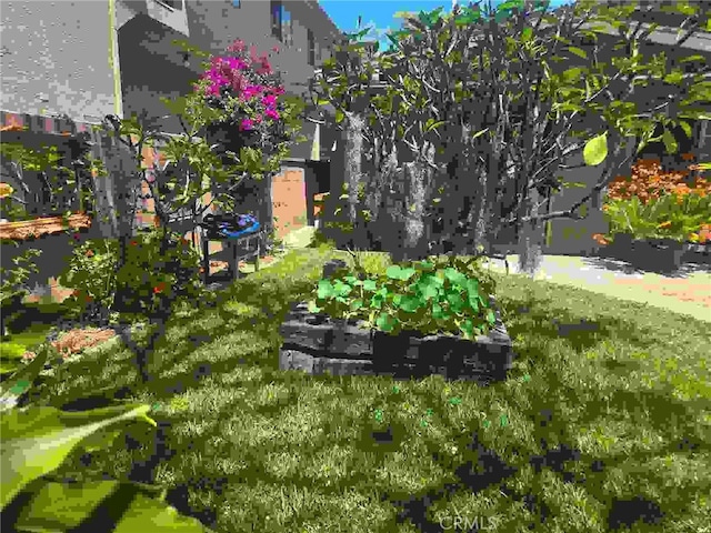 1121 Gladys Ave, Long Beach, CA 90804 - view of yard featuring a vegetable garden