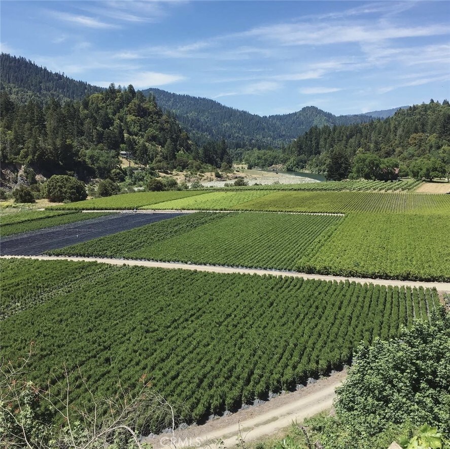 2172 Patterson Rd, Willow Creek, CA 95573
