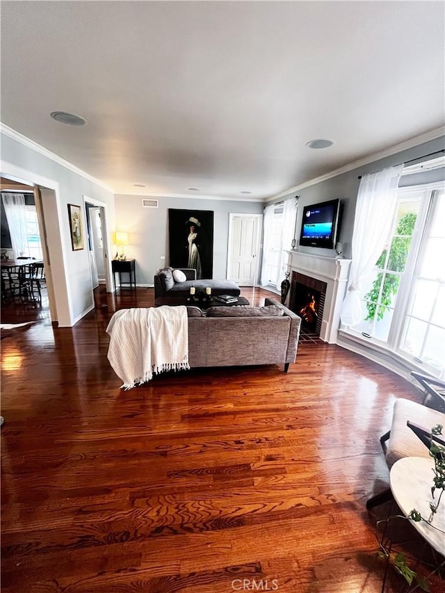3275 N D St, San Bernardino, CA 92405 - living room featuring ornamental molding, a lit fireplace, healthy amount of natural light, and wood finished floors