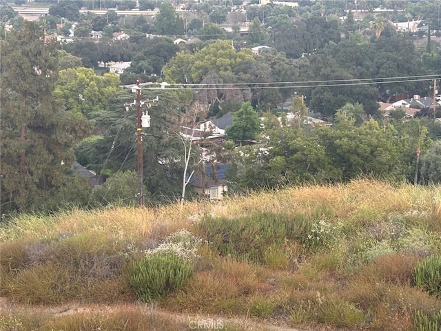 1084 W Marshall Blvd, San Bernardino, CA 92405