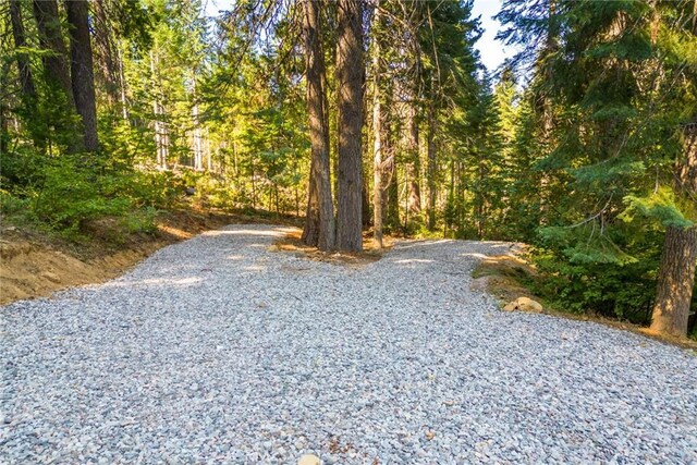 1900 Maple Dr, Weed, CA 96094 - view of road with a wooded view
