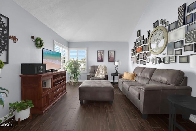 885 Oakland Hills Dr, Banning, CA 92220 - living area with lofted ceiling and dark wood-style flooring