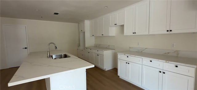 33710 Santiago Rd, Acton, CA 93510 - kitchen featuring a sink, wood finished floors, a kitchen island with sink, and white cabinetry