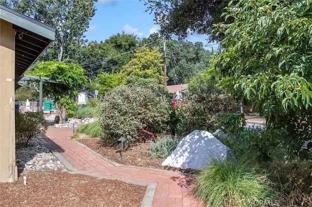 6950 Navarette Ave, Atascadero, CA 93422 - view of yard