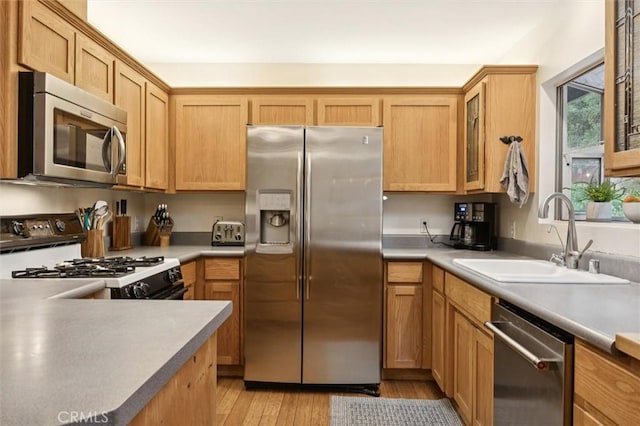 6950 Navarette Ave, Atascadero, CA 93422 - kitchen featuring stainless steel appliances, a sink, light wood-type flooring, glass insert cabinets, and light countertops