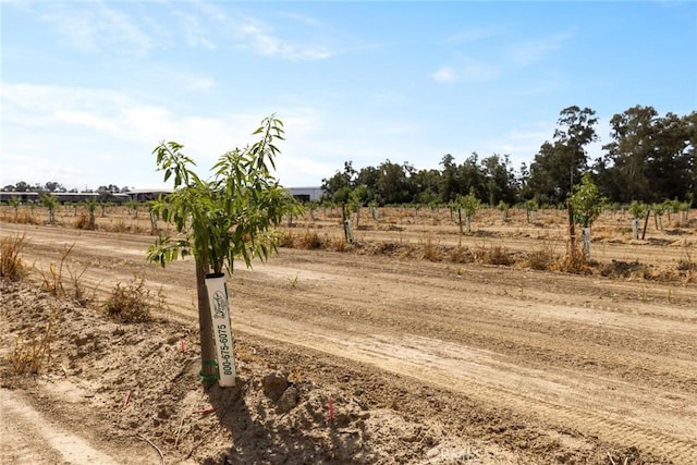 0 Moon Rd, Corning, CA 96021