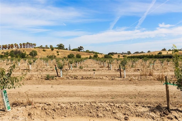 0 Moon Rd, Corning, CA 96021
