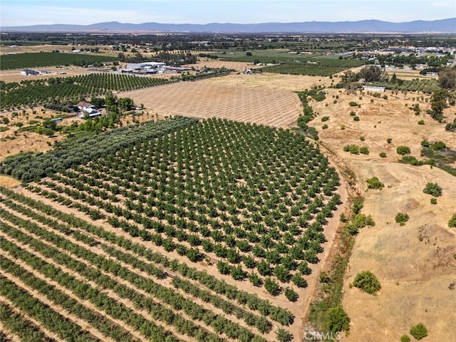 0 Moon Rd, Corning, CA 96021