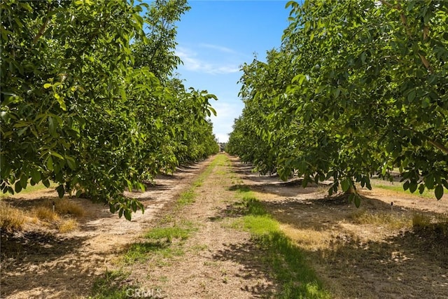 0 Moon Rd, Corning, CA 96021
