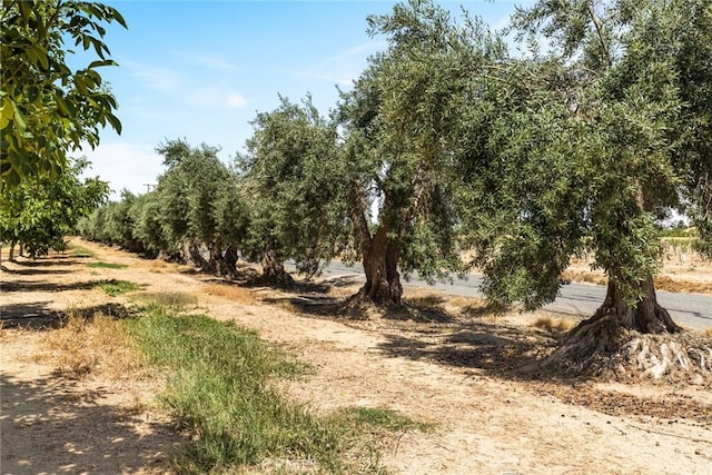 0 Moon Rd, Corning, CA 96021
