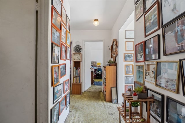 319 E Deodar St, Ontario, CA 91764 - photo 12
