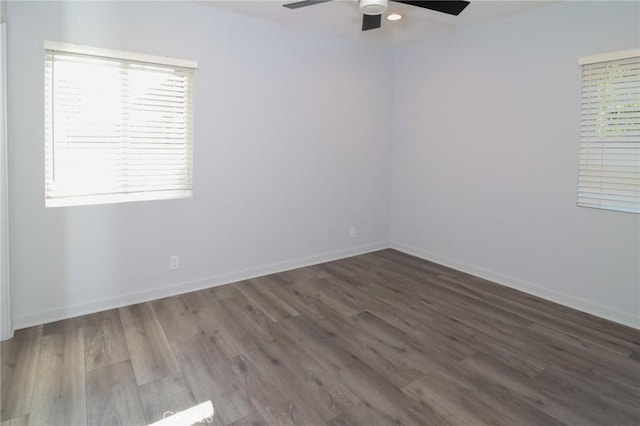13917 Truro Ave, Hawthorne, CA 90250 - photo 18