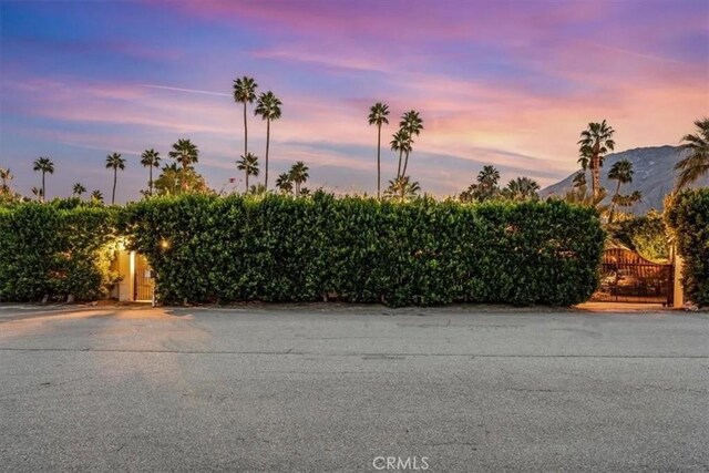 483 W W Via, Escuela, Palm Springs, CA 92262 - photo 54
