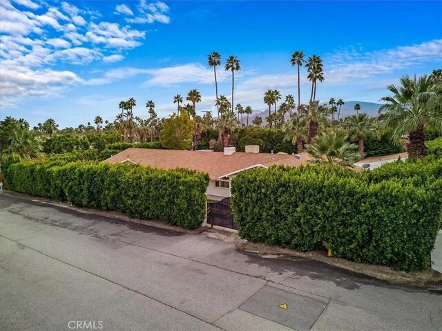 483 W W Via, Escuela, Palm Springs, CA 92262 - photo 51