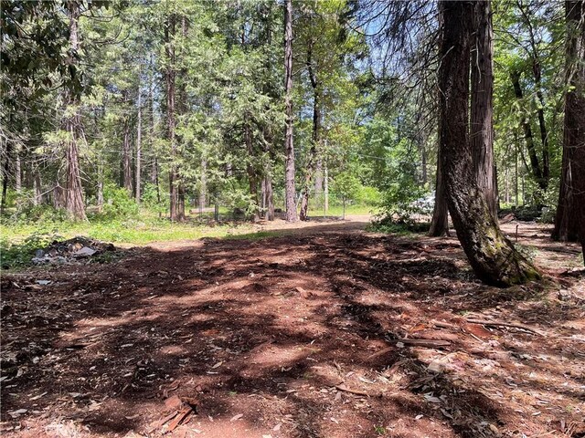 55 Buckeye Dr, Forbestown, CA 95941 - photo 9