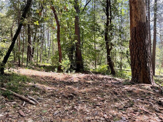 55 Buckeye Dr, Forbestown, CA 95941 - photo 7