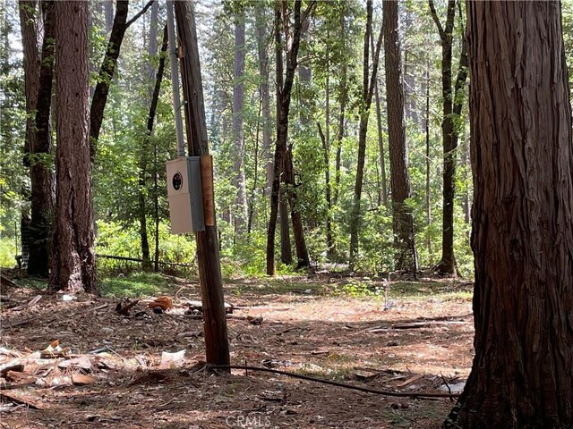 55 Buckeye Dr, Forbestown, CA 95941 - photo 10