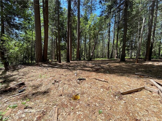 55 Buckeye Dr, Forbestown, CA 95941 - photo 3