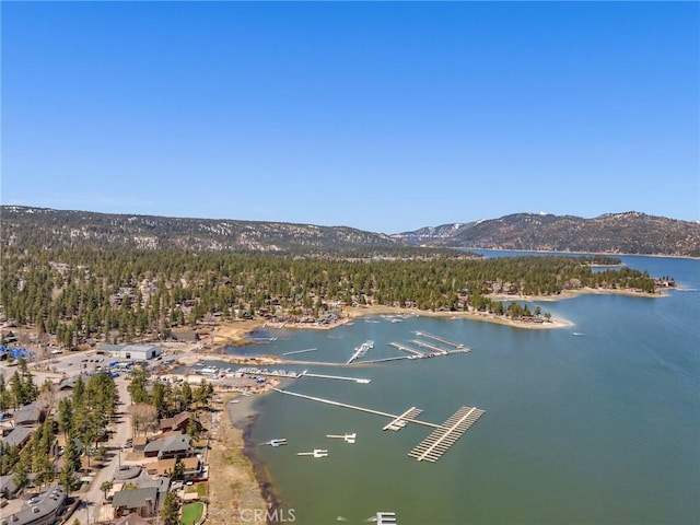 700 Booth Way, Big Bear City, CA 92314 - photo 38