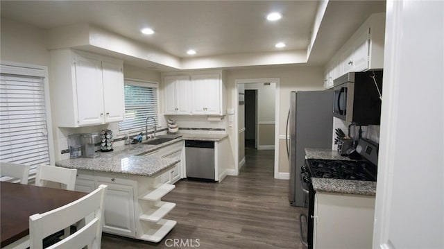 6384 E Lowe Ave, Fresno, CA 93727 - kitchen with appliances with stainless steel finishes, a sink, white cabinetry, a peninsula, and dark wood-style floors