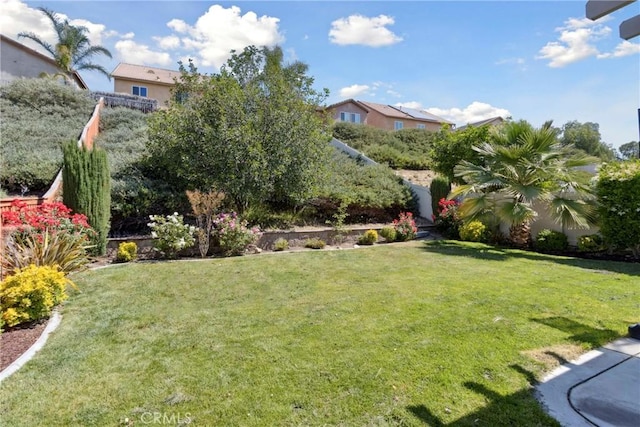 33184 Puffin St, Temecula, CA 92592 - view of yard