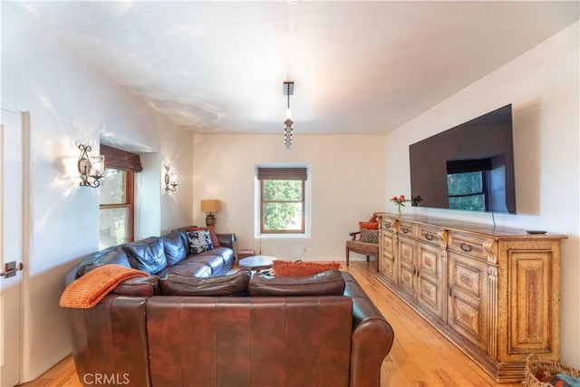1615 Halsey St, Redlands, CA 92373 - living room featuring light wood finished floors and healthy amount of natural light