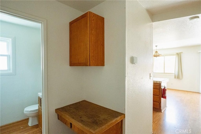 3117 Andre Ln, Turlock, CA 95382 - bathroom with wood finished floors and toilet